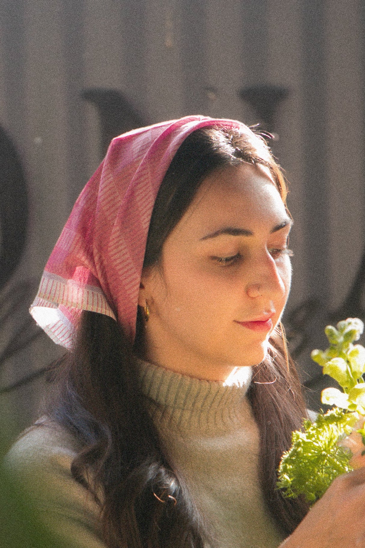 BLUSH STRIPE - BANDANA